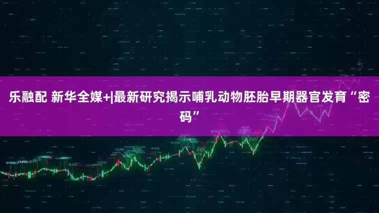 乐融配 新华全媒+|最新研究揭示哺乳动物胚胎早期器官发育“密码”