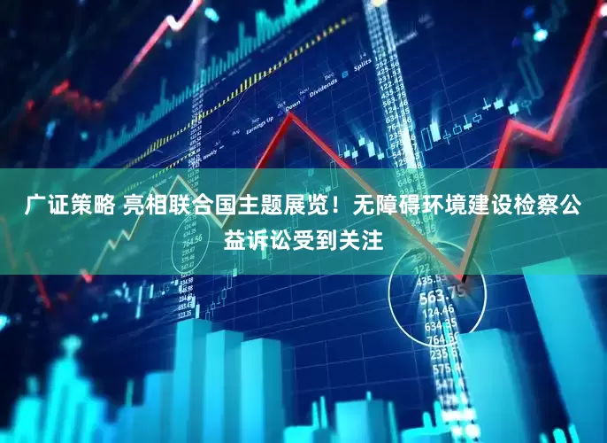 广证策略 亮相联合国主题展览！无障碍环境建设检察公益诉讼受到关注