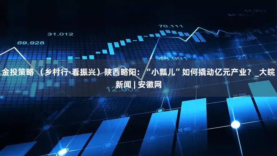 金投策略 （乡村行·看振兴）陕西略阳：“小瓢儿”如何撬动亿元产业？_大皖新闻 | 安徽网