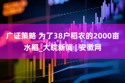 广证策略 为了38户稻农的2000亩水稻_大皖新闻 | 安徽网