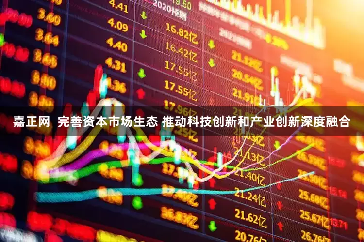嘉正网  完善资本市场生态 推动科技创新和产业创新深度融合