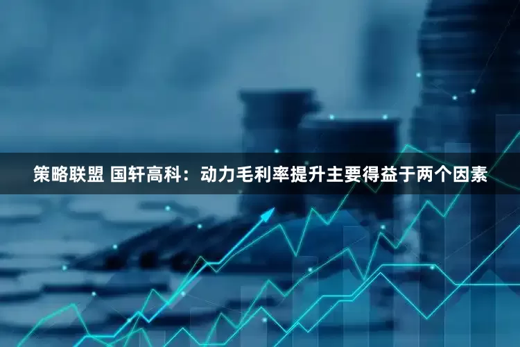 策略联盟 国轩高科：动力毛利率提升主要得益于两个因素