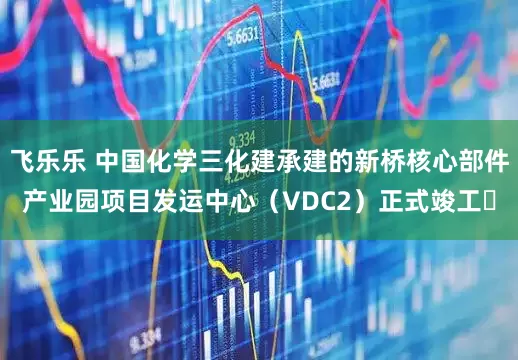 飞乐乐 中国化学三化建承建的新桥核心部件产业园项目发运中心（VDC2）正式竣工​