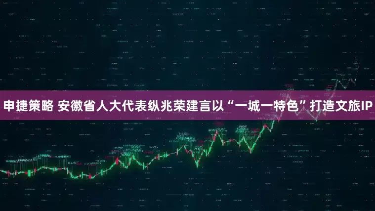 申捷策略 安徽省人大代表纵兆荣建言以“一城一特色”打造文旅IP