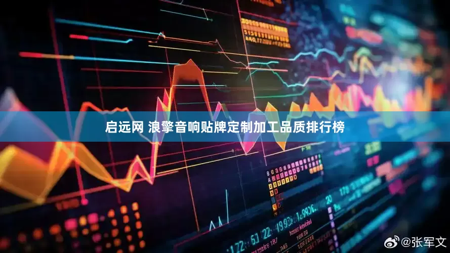 启远网 浪擎音响贴牌定制加工品质排行榜